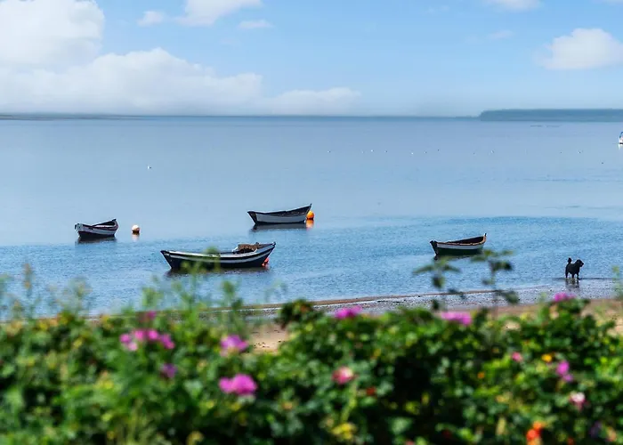 Stunning In V With Wifi Appartement Esbjerg